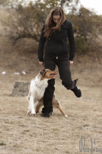 Tanec se psem-Dog dance