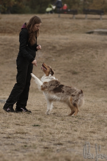 Tanec se psem-Dog dance