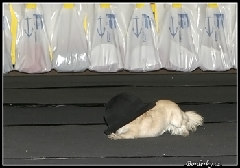 Tanec se psem-Dog dance