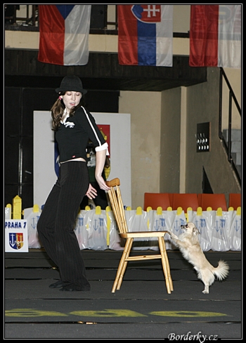 Tanec se psem-Dog dance