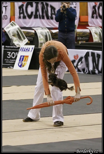 Tanec se psem-Dog dance