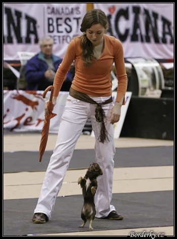 Tanec se psem-Dog dance