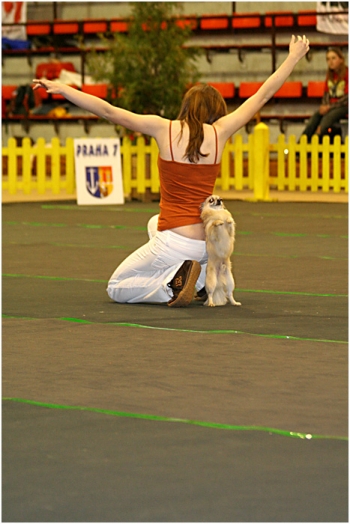 Tanec se psem-Dog dance