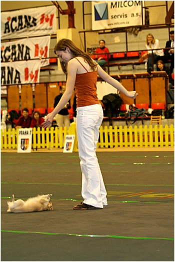 Tanec se psem-Dog dance