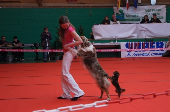 Tanec se psem-Dog dance