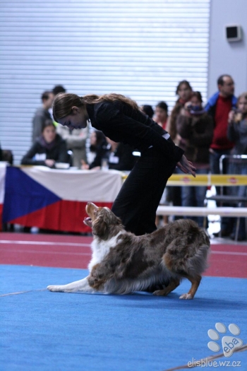 Tanec se psem-Dog dance