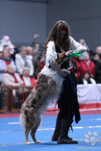 Tanec se psem-Dog dance