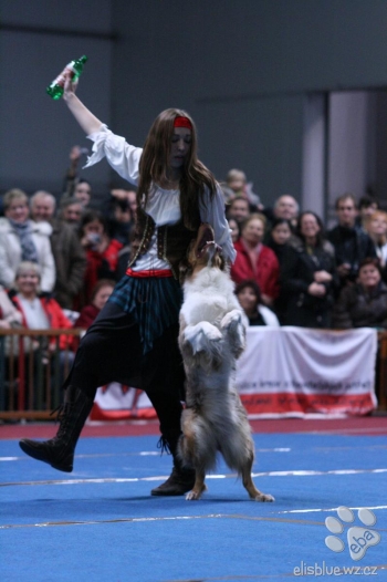 Tanec se psem-Dog dance