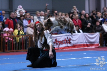 Tanec se psem-Dog dance