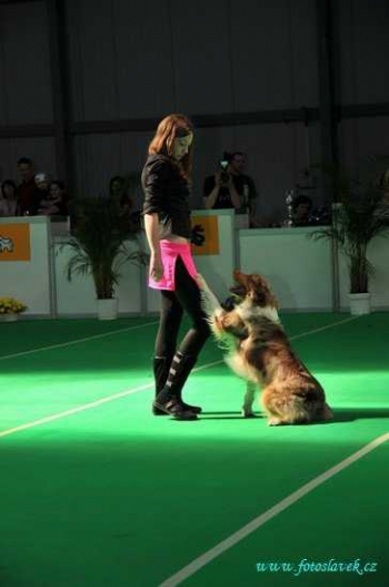 Tanec se psem - Dog dance