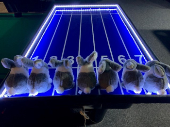 Dostihové závody prasátek nebo králíčků