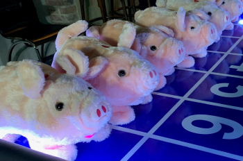 Dostihy plyšových prasátek